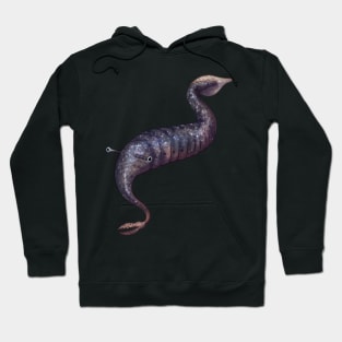 Cozy Tully Monster Hoodie